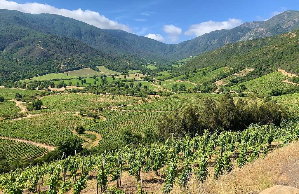 Vineyards surrounded by mountains in Colchagua Valley, Chile