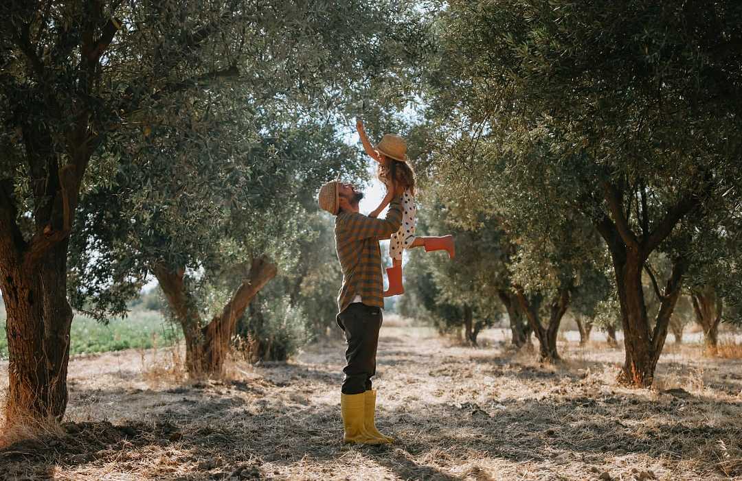 Father and daughter at an olive plantation
