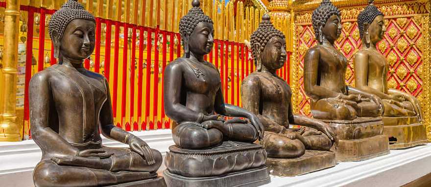 Buddha statues at a temple in Thailand