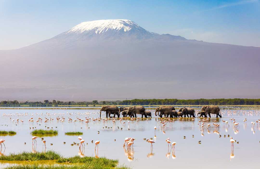 View of Mount of Kilimanjaro from Amboseli National Park in Kenya