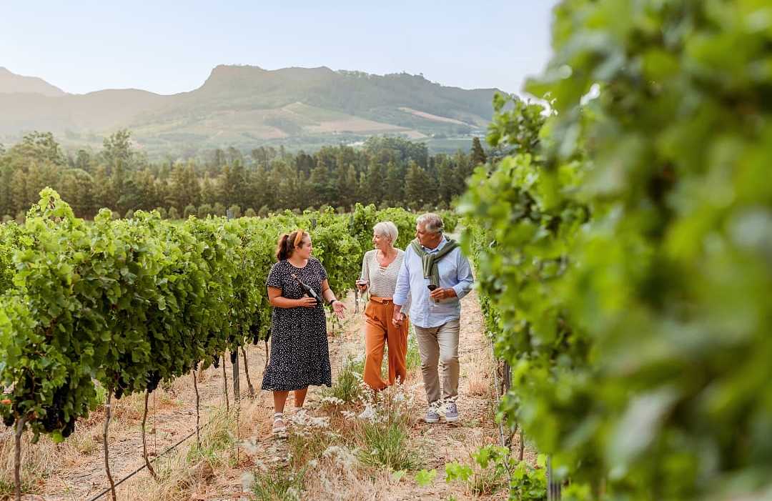 Cape Winelands, South Africa Senior couple in Cape Winelands, South Africa