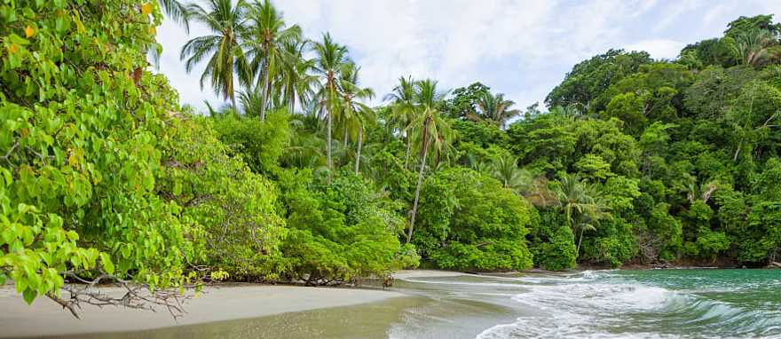 Enjoy the coastline beaches of Manuel Antonio, Costa Rica Enjoy the coastline beaches of Manuel Antonio, Costa Rica