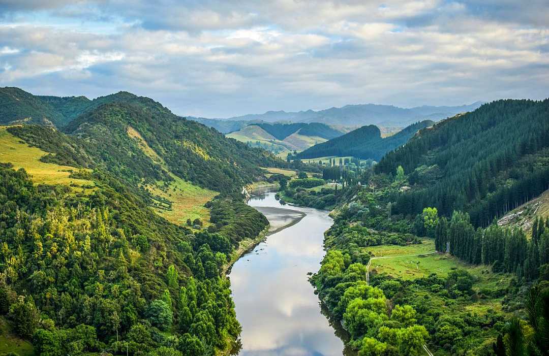 Whanganui River, New Zealand Lush green countryside along the Whanganui River in New Zealand