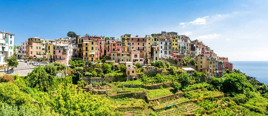 Vineyards and hilltop village of Corniglia in the Cinque Terre, Italy