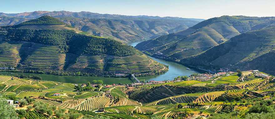 Vineyards in the Douro River Valley, Portugal