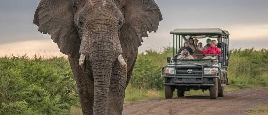  on the savanna in Kenya