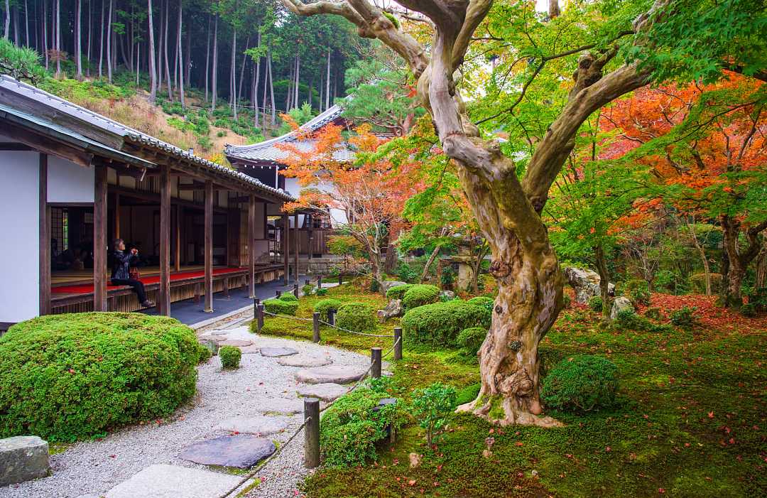 Woman at Enkoji Temple enjoying early autumn colors of the Japanese garden