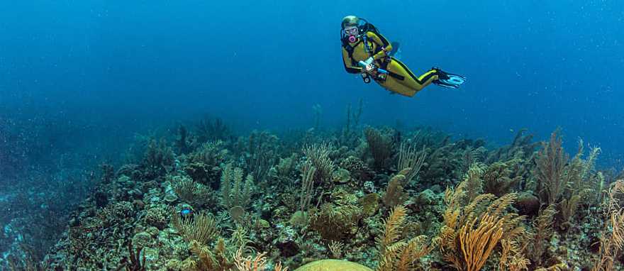Scuba diving the Great Blue Hole in Belize