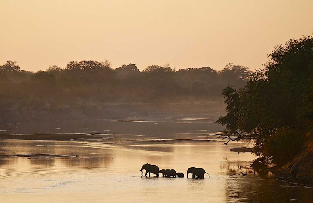 South Luangwa river, Zambia. South Luangwa river, Zambia.
