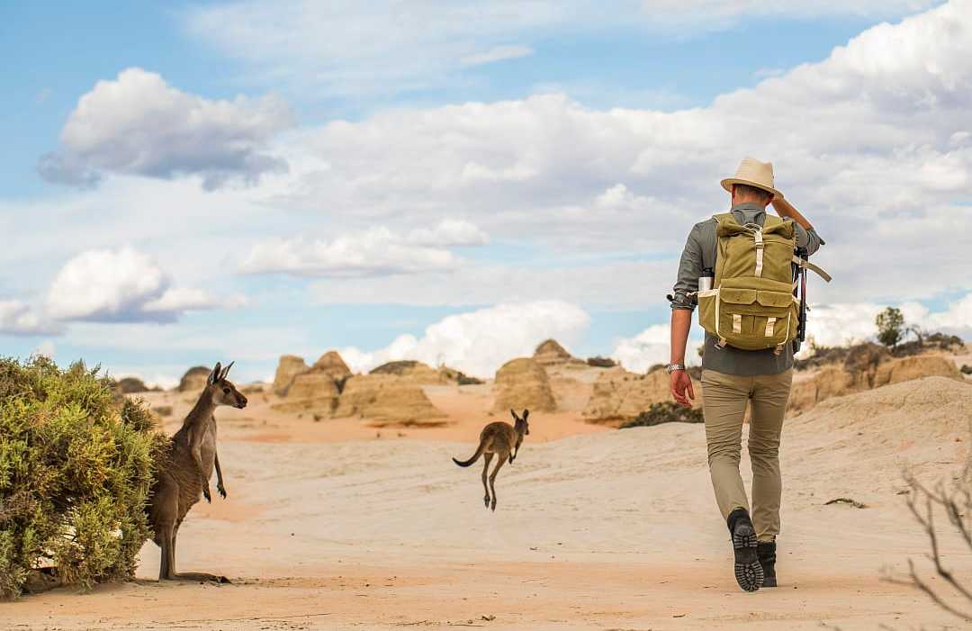 A man hiking in the Australian Outback desert with kangaroos in the background.