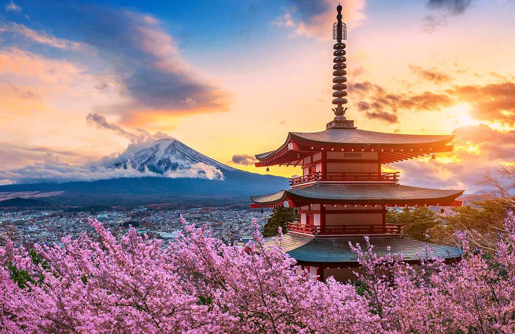 Fuji mountain and Chureito Pagoda with cherry blossoms at sunset, Japan