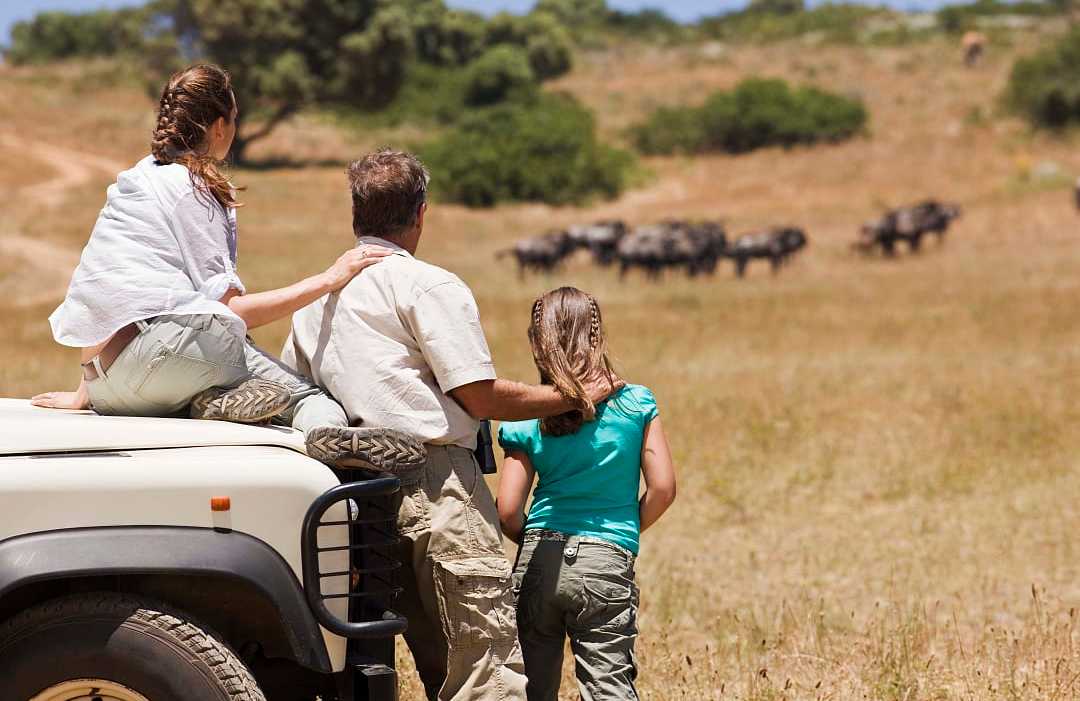 Family on a Safari in South Africa. Family on a Safari in South Africa.
