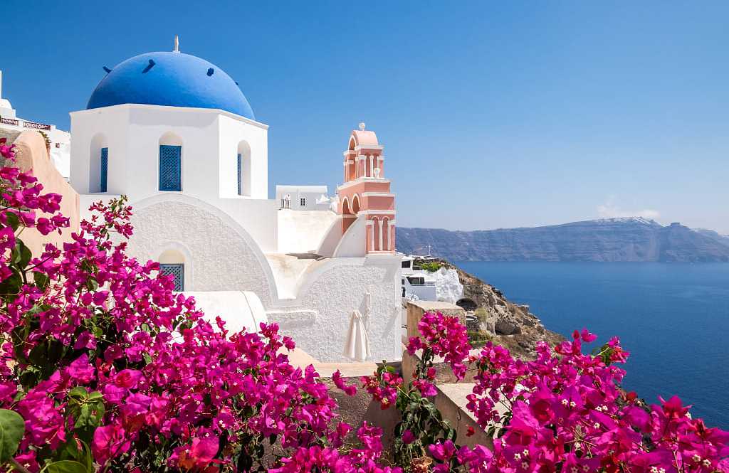 Scenic view of traditional cycladic houses with flowers in foreground in Oia village, Santorini, Greece.