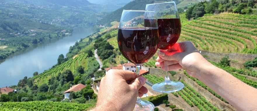 Vineyards in Douro Valley, Portugal