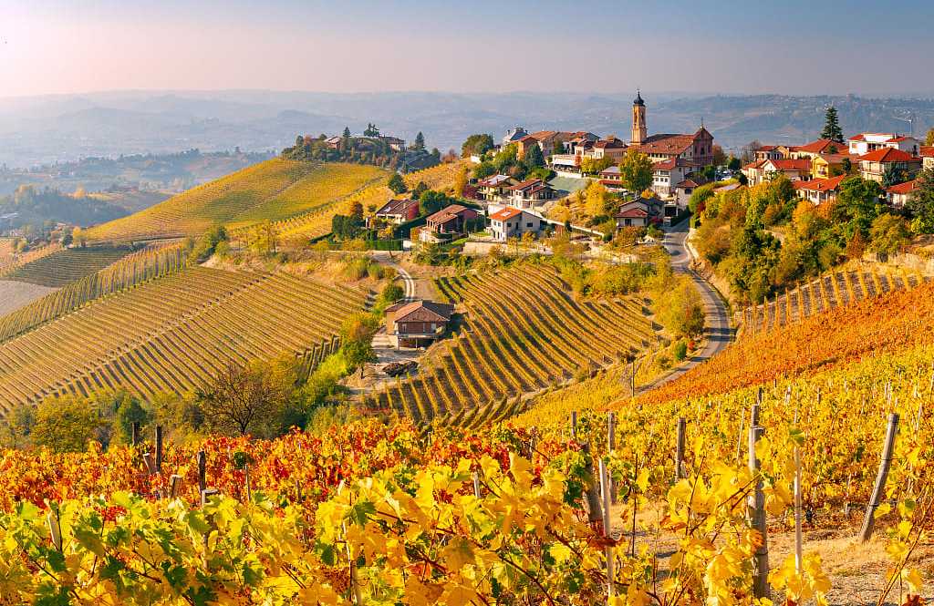 Piedmont Region of Italy Autumn vineyards in the Piedmont region of Italy