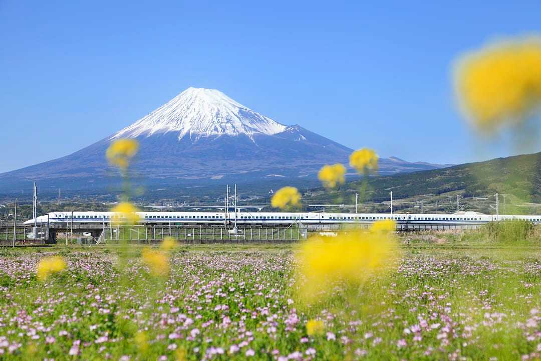 Shinkansen bullet train passing Mt Fuji in Japan