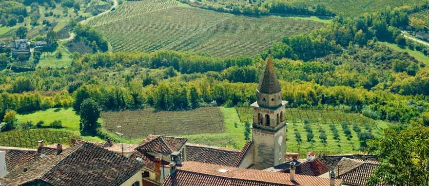 Medieval Motovun surrounded by vineyards in Croatia