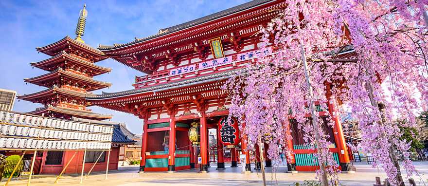 Sensoji Temple in Asakusa, Tokyo, Japan. 