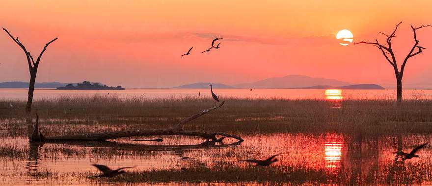 Matusadona National Park, Zimbabwe