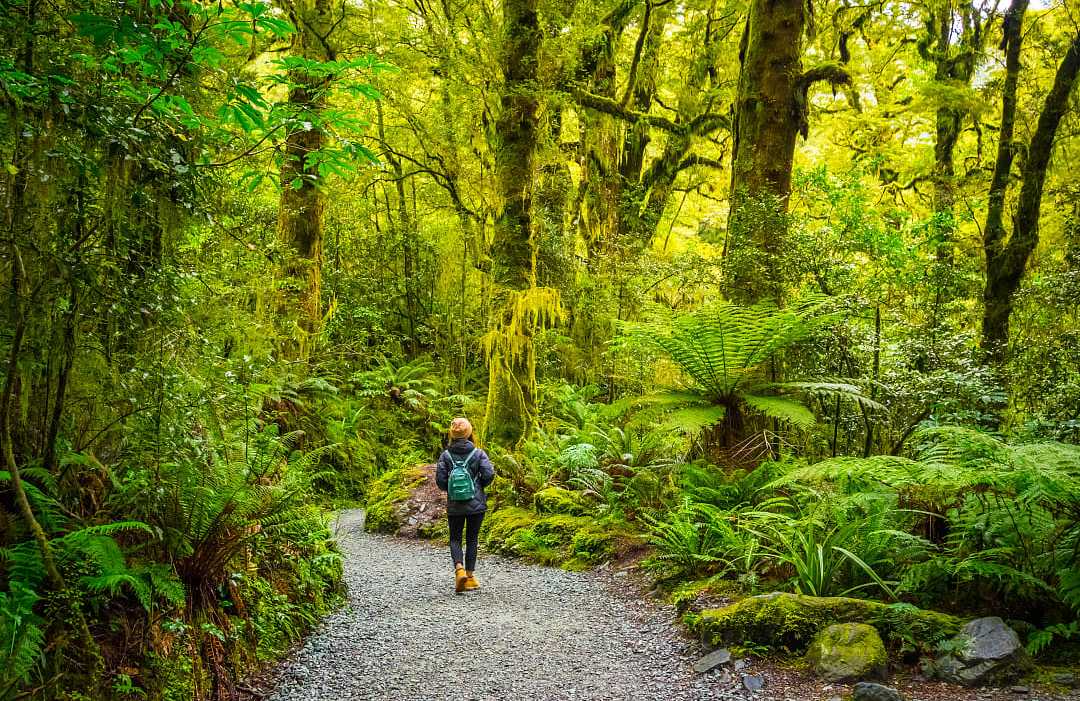 Hiking in Fiordland National Park, New Zealand