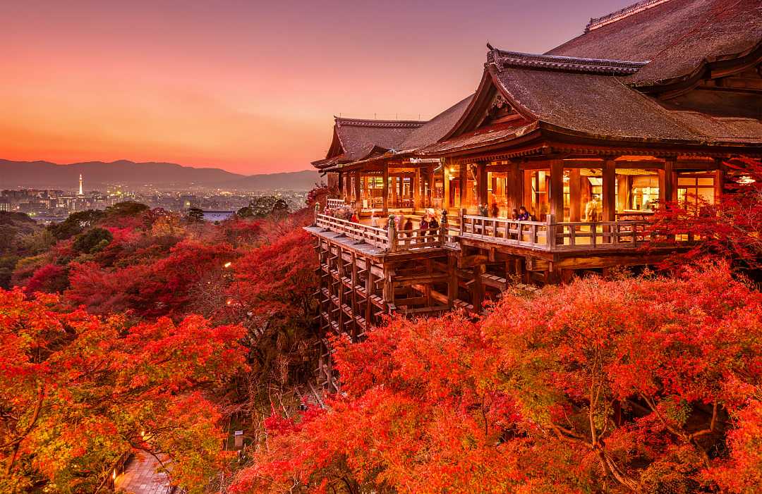 Vibrant red autumn foliage at Kiyomizu-dera Temple in Kyoto, Japan