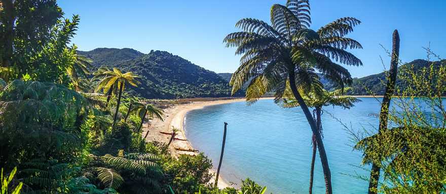 Beach at Nelson Abel Tasman National Park in New Zealand 