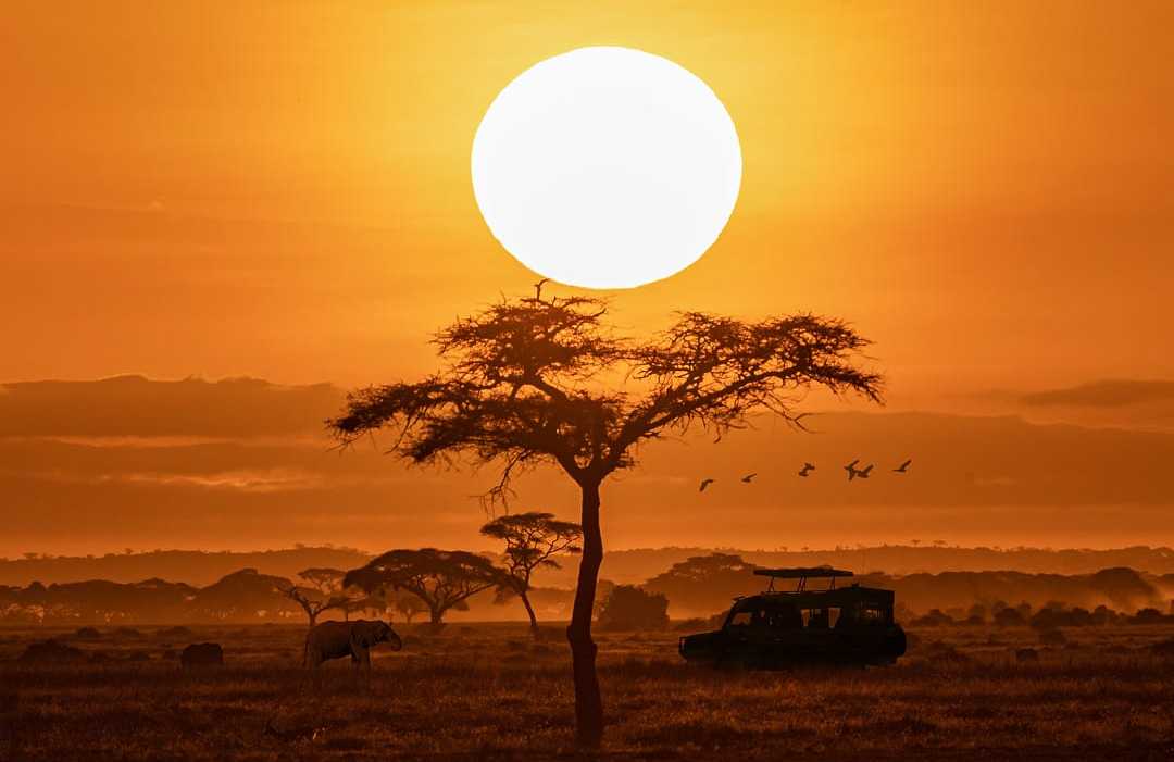 Kenya Orange sunset with silhouette of safari vehicle, trees and elephants