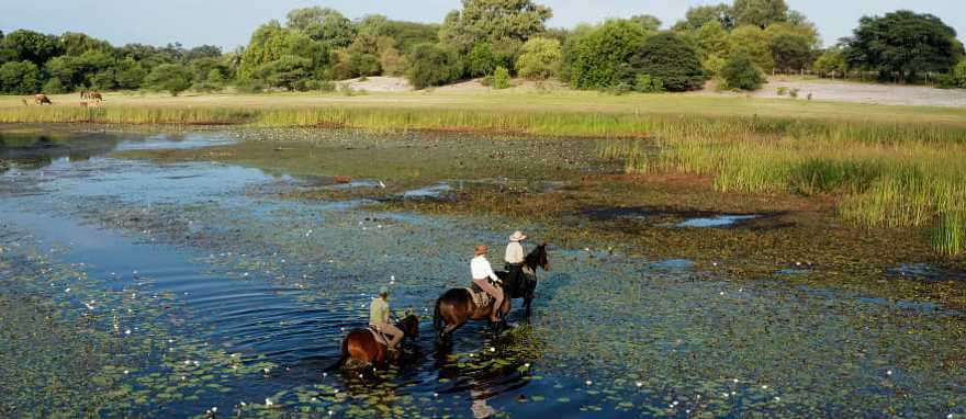 Horseback safari in the Okavango Delta