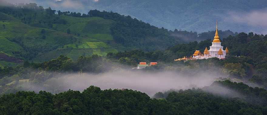 Supta in the northern mountain tea plantations of Chiang Rai, Thailand