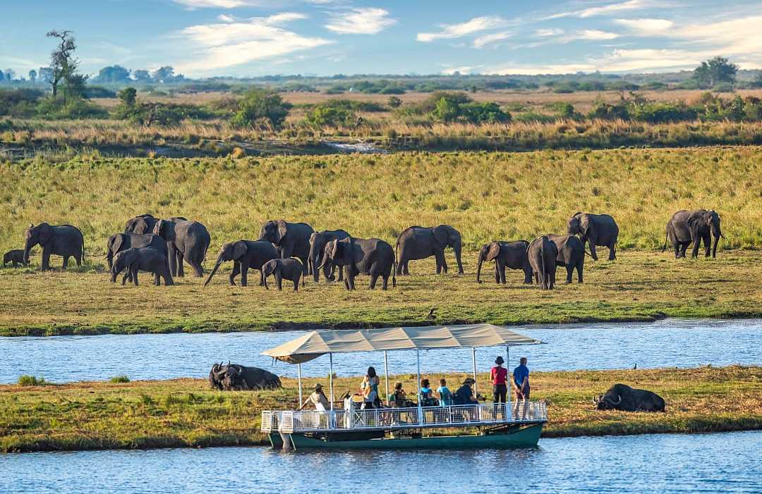 Chobe National Park, Botswana Safari tourist in a boat watching a heard of elephants in Chobe National Park, Botswana