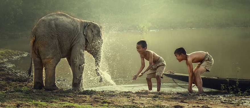 Local kids playing with baby elephant in Laos.