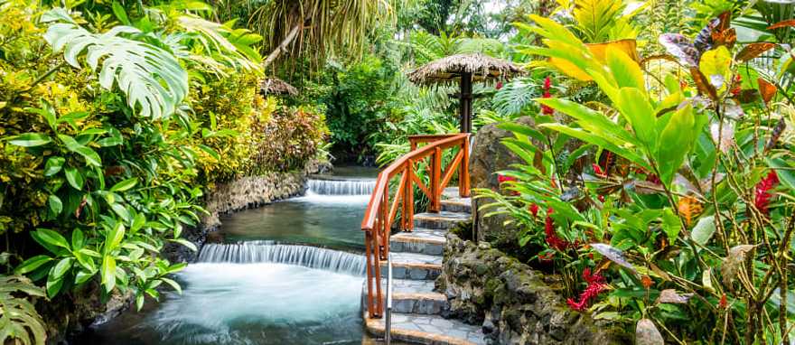 Enjoy rejuvenating thermal springs on this perfect Costa Rica trip. Enjoy rejuvenating thermal springs on this perfect Costa Rica trip.