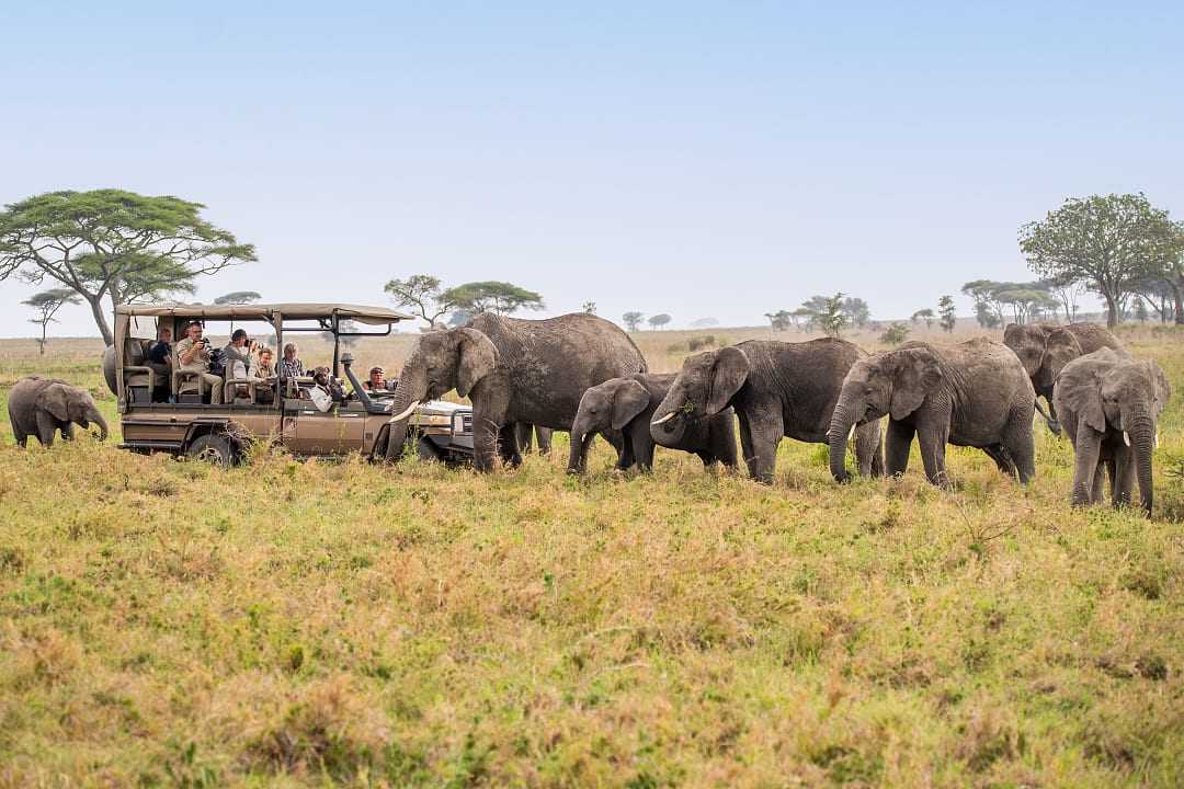 Eastern Serengeti, Tanzania