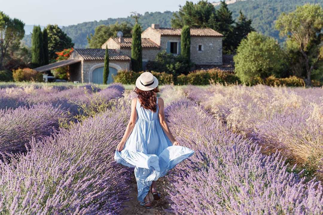 Woman in blue dress walking through a lavender field in Luberon, France, with rustic stone house behind