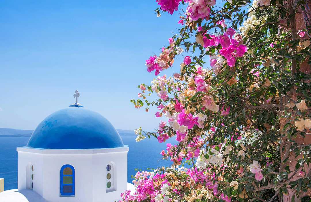 Blue dome church with spring flowers on Santorini island, Greece