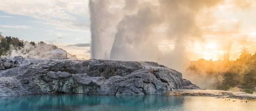 Pohutu geyser in the Whakarewarewa thermal valley, Rotorua, New Zealand. Photo courtesy of Te Puai.