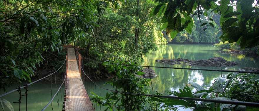 Travel through the trees with the whole family on the Arenal's suspension bridges