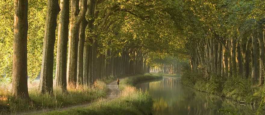 Morning at Canal du Midi in Toulouse, France