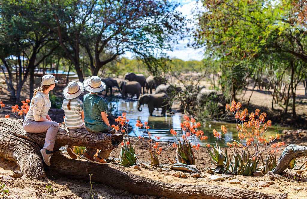 Mother and kids on African safari enjoying elephants at watering hole
