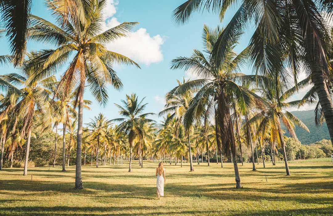 Tropical beach in Australia