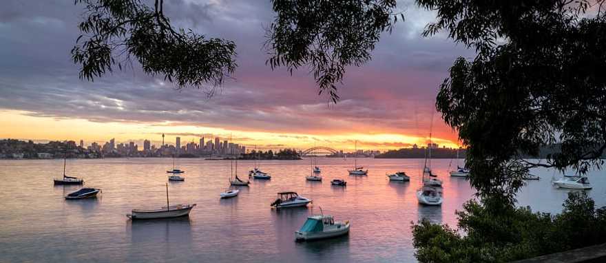 View of Sydney Harbour at sunset in Australia