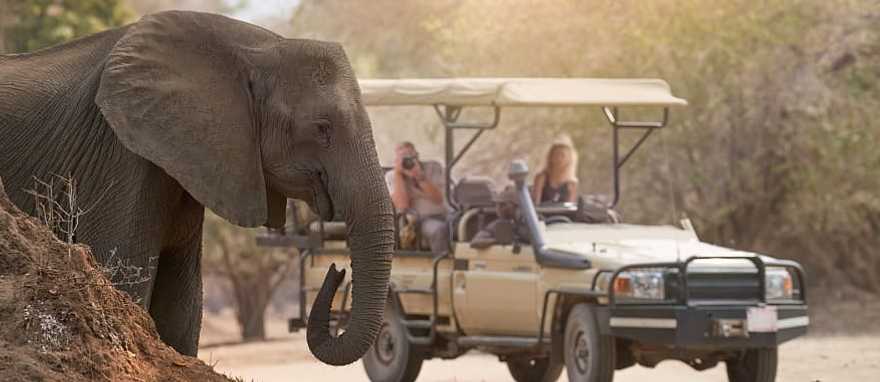 Safari at Mana Pools National Park in Zimbabwe