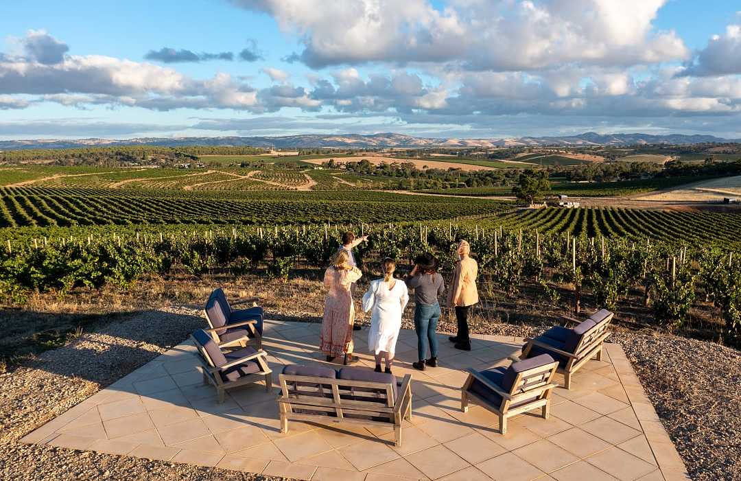 Group of travelers at a luxury vineyard in Barossa Valley, Australia