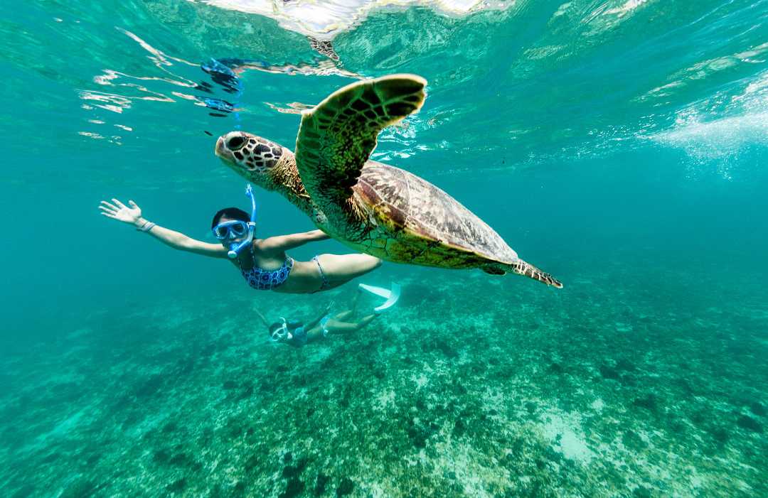 Two women snorkeling with a sea turtle in the clear blue waters of Okinawa, Japan