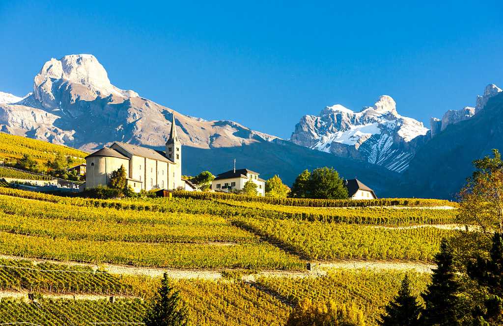 Vineyards in Valais, Switzerland