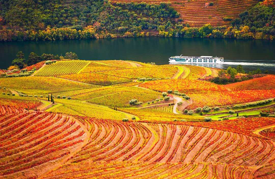 Autumn in Douro Valley, Portugal