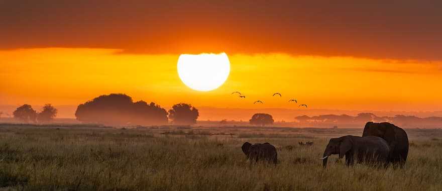 Amboseli National Park, Kenya