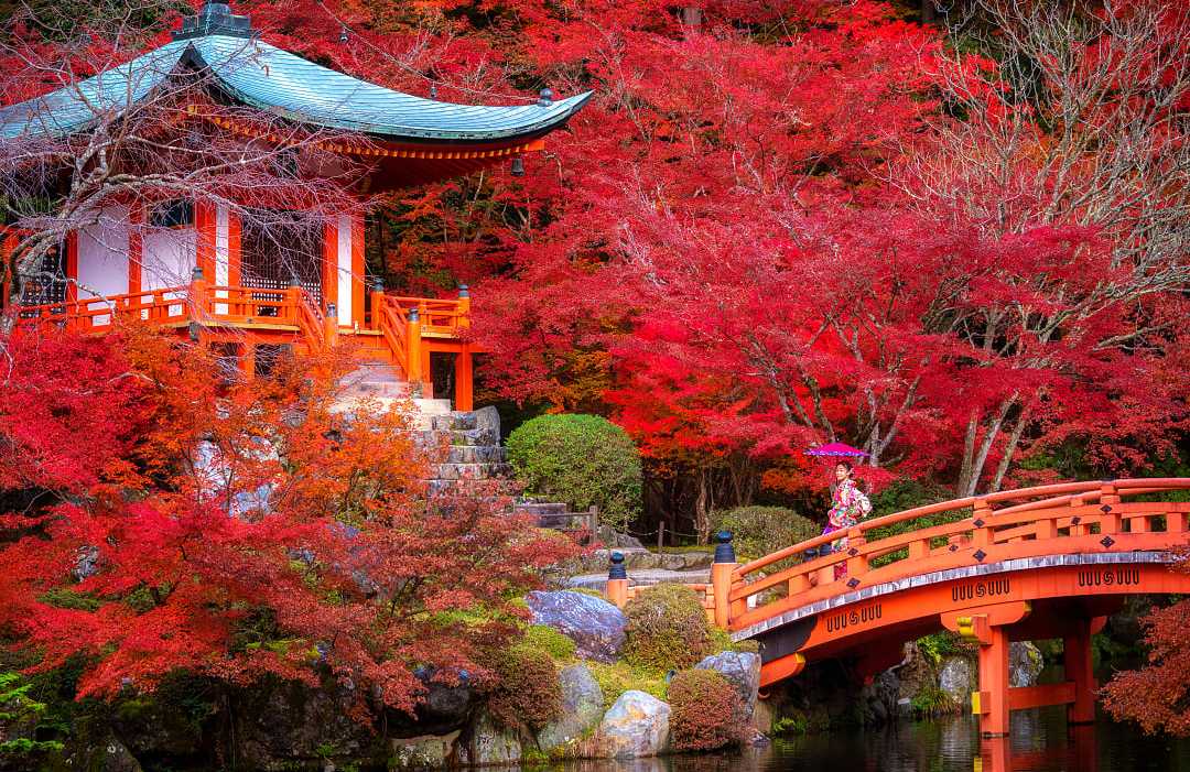 Daigo-ji Temple with autumn foliage in Kyoto, Japan