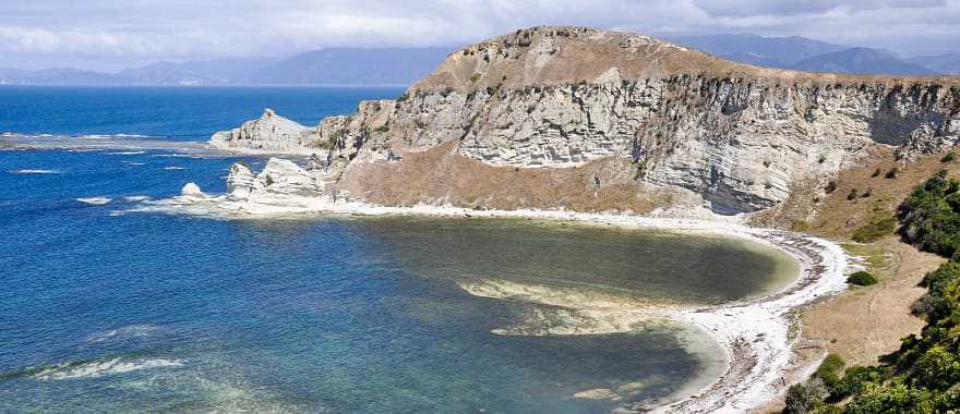 Surround yourself with the natural beauty of Kaikoure Island