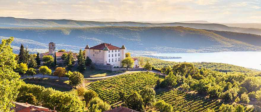 Chateau and vineyards in Provence, France